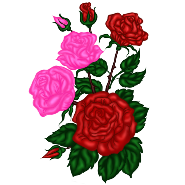Roses 🌹🌹