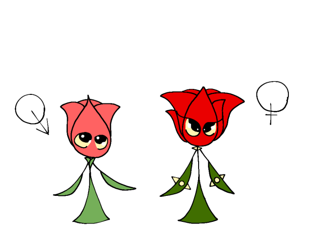 Roses children's