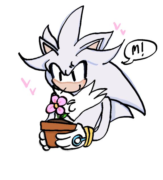 Silver and his flower