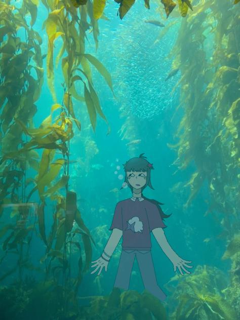ocean