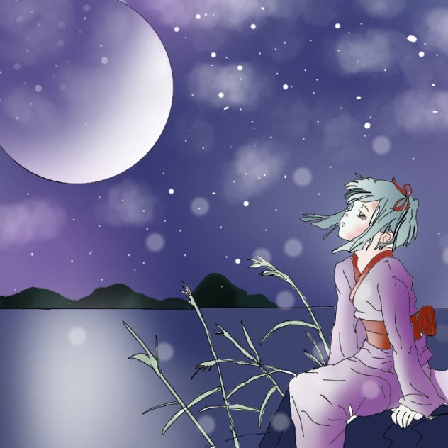 moonlit night - ibisPaint