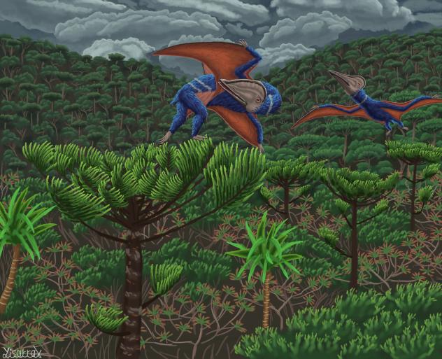 Tupuxuara longicristatus and leonardii