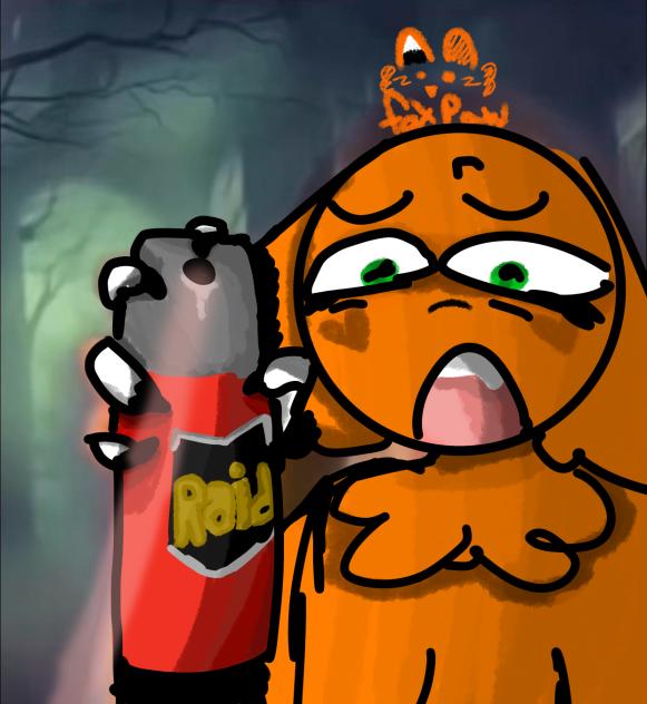 Raid meme