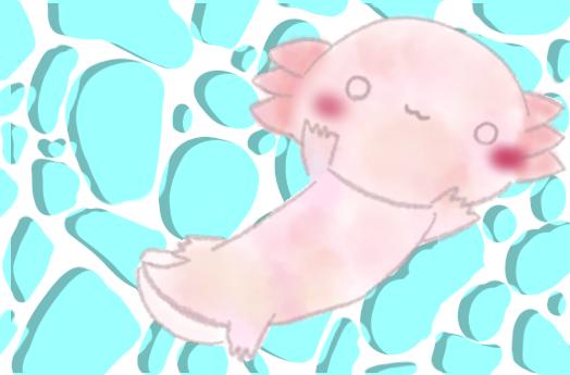 ウーパールーパー