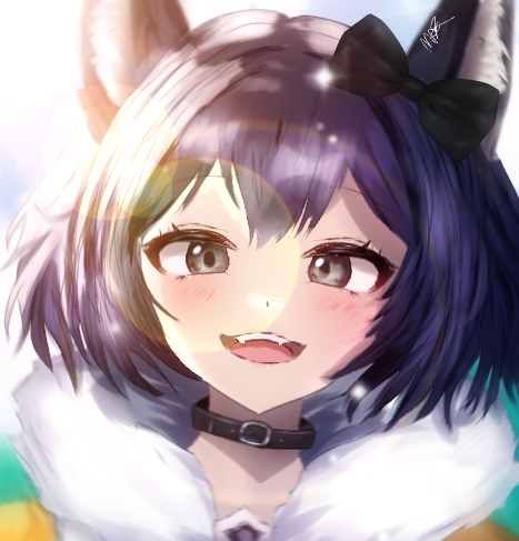 ✩₊˚.⋆☾⋆⁺₊✧ Wolf girl🐺 ✩₊˚.⋆☾⋆⁺₊✧