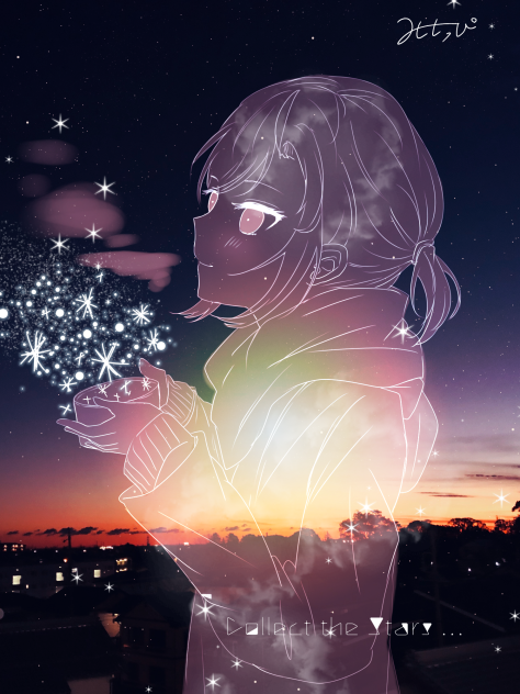 snowstars collector💫