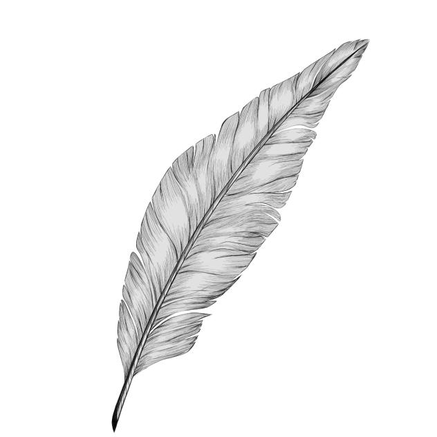 Feather2