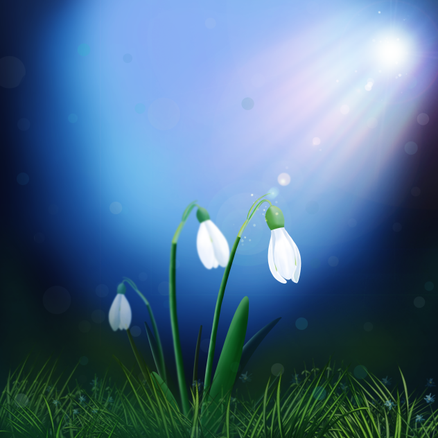 Bloom In The Air
