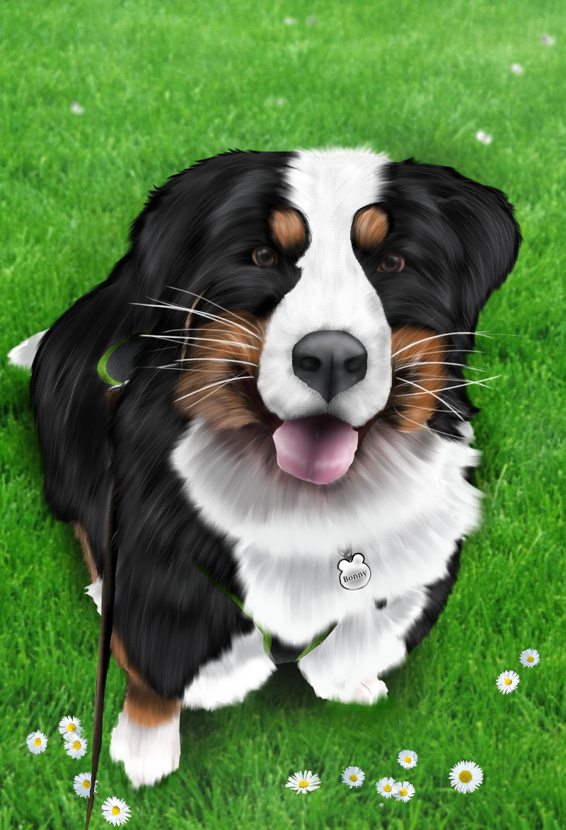 Titelloses - ibisPaint