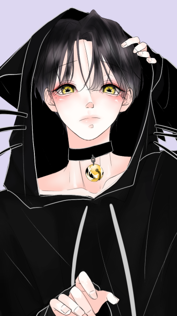 고양이
