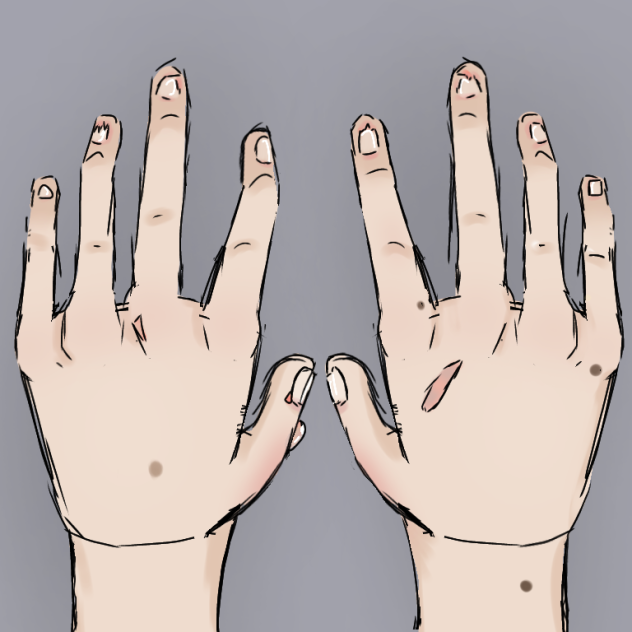 The Artists Hands