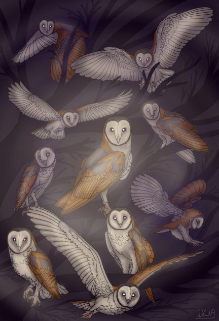 Barn Owls With Reflective Eyes