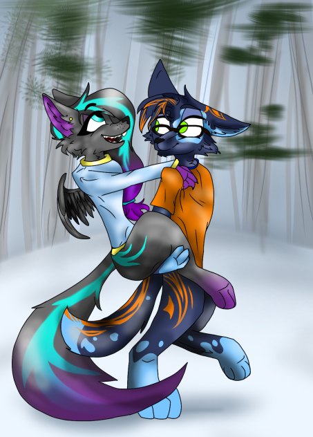 Snow walk