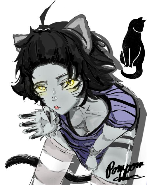 🐈‍⬛