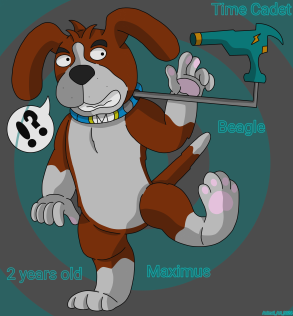 Maximus (12 months) time cadet