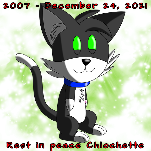 In memory of my cat ( Goldenfoxy237 )