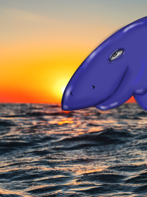 💙 Vaquita animation 💙