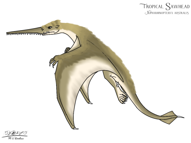 Tropical Sawhead