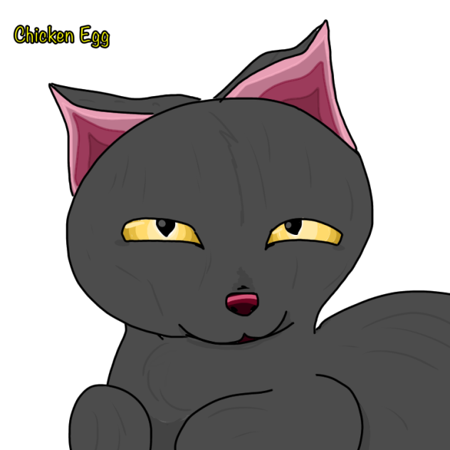 A black cat