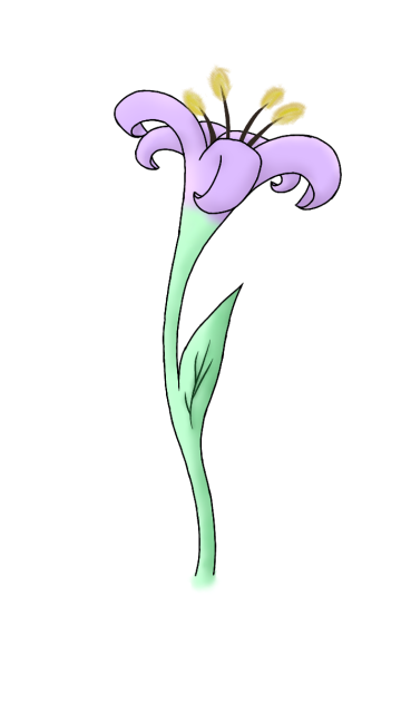 Lily - ibisPaint