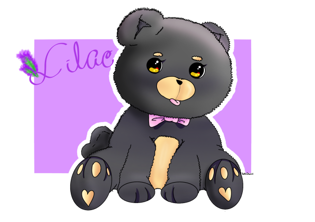 Lilac the black bear