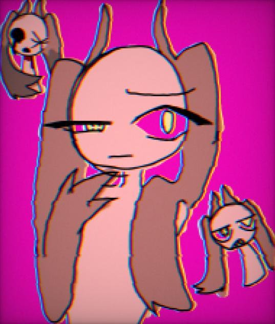 ナリファ