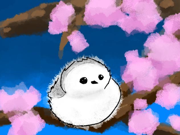 Snow fairy (cherry blossom)