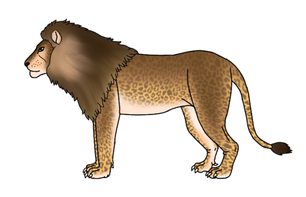 Marozi