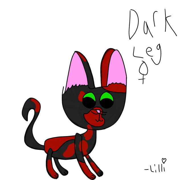 Rise of the cats l Dark Leg