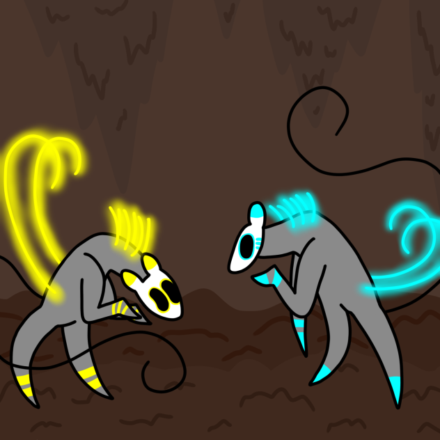Male and female snork