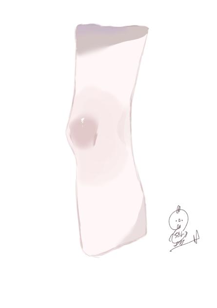 膝であって欲しいもの