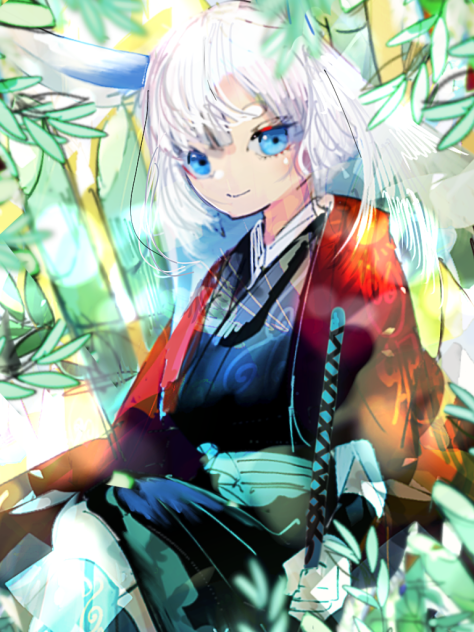 兎姫