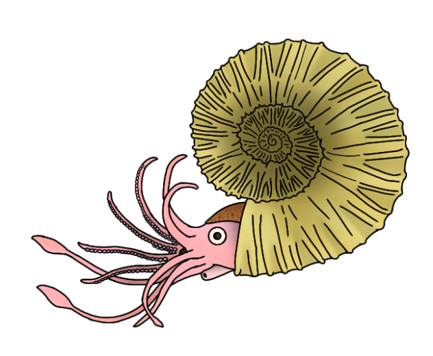 Notosilesitoides philippinensis green
