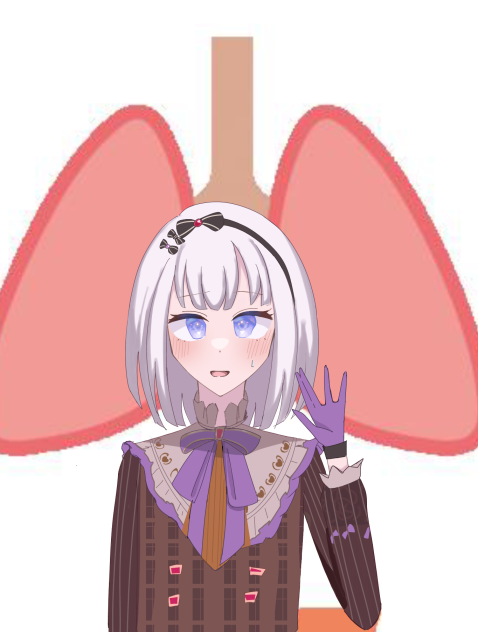 みばろちゃんの臓器＋奏ちゃん