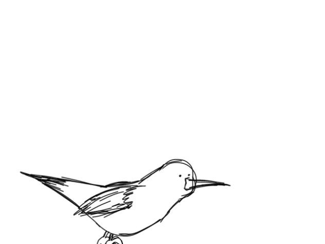 dumb bird animation but its finished