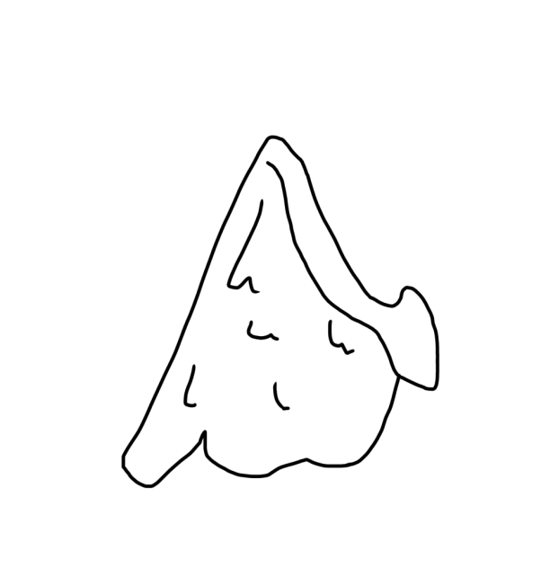 Wing Test