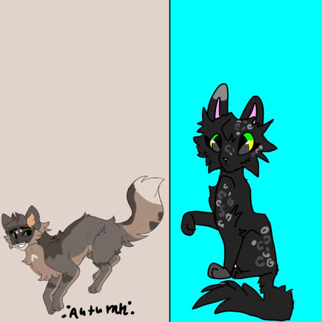 collab with Hollyleaf!