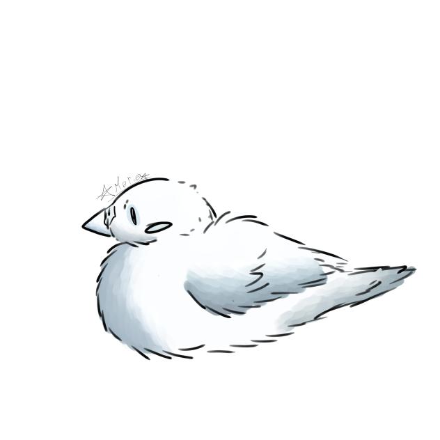 shading test