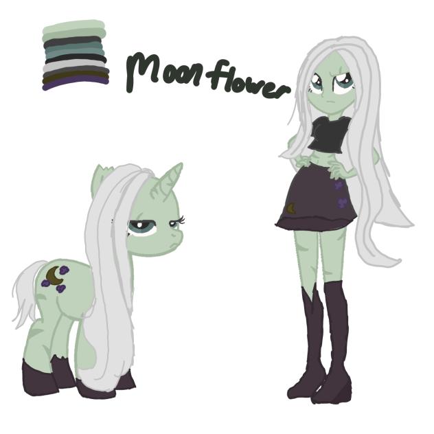Mlp OC