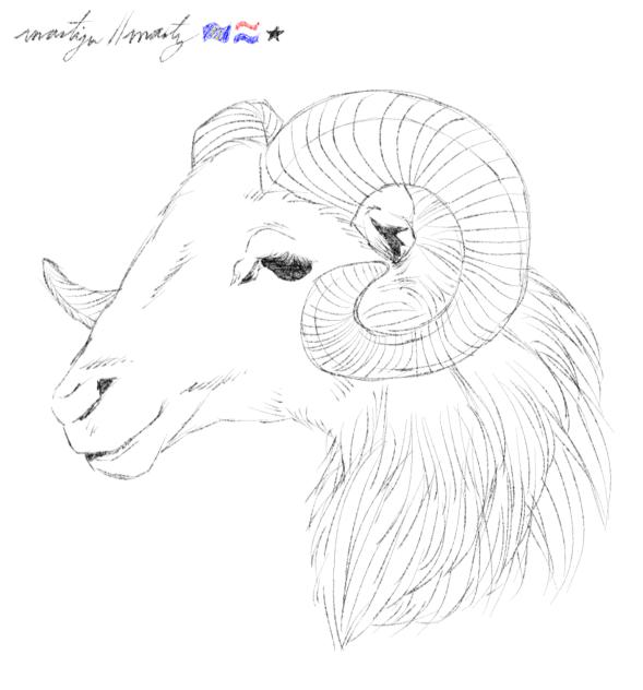 sketch of a ram