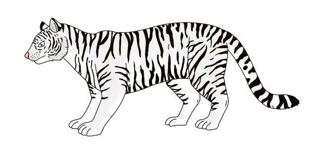 White Tiger