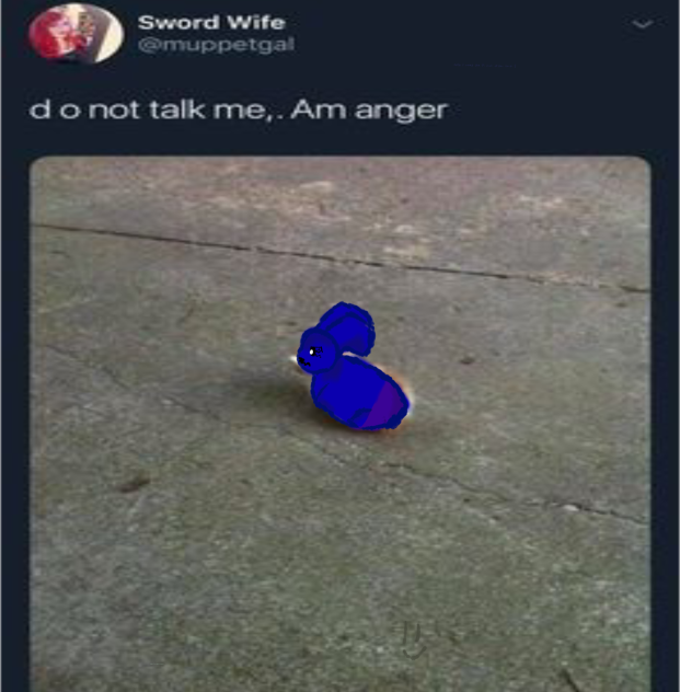 do not talk him. he anger