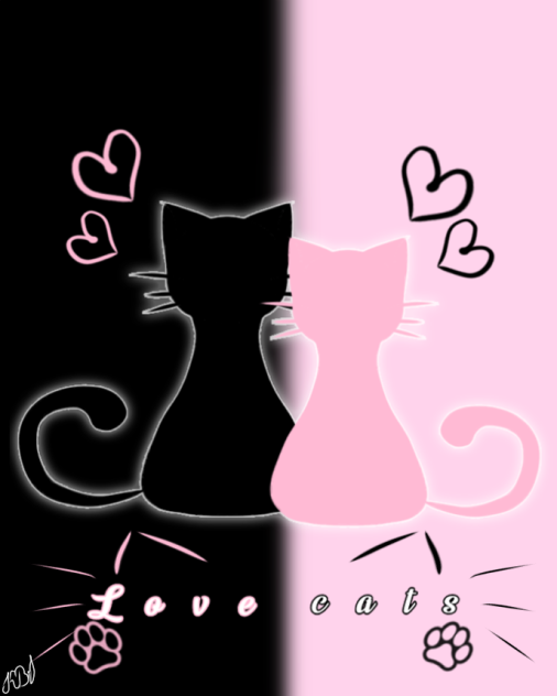 Love cats 🖤🩷