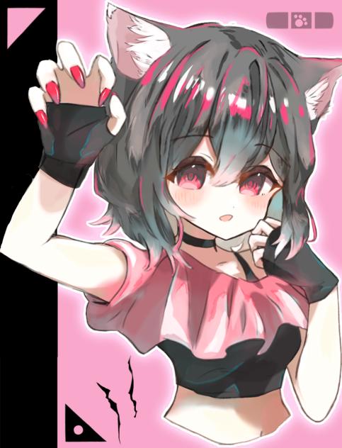 cat＆catch