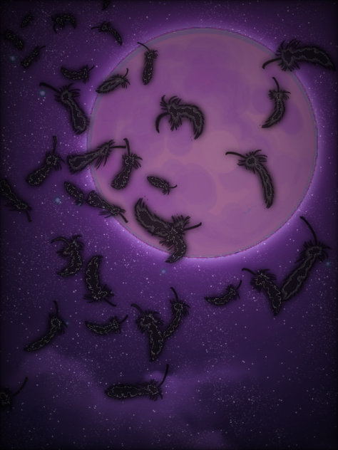 背景 月と羽（黒）