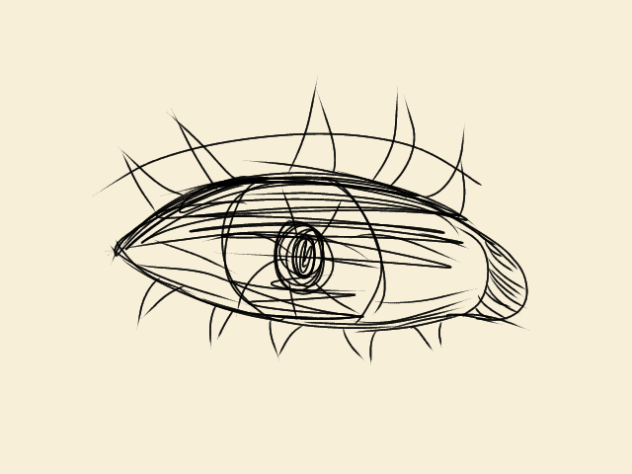 eye