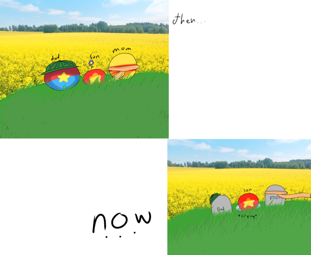 Country balls family