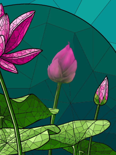 transitioning a lily