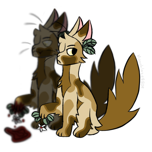 Warrior cat