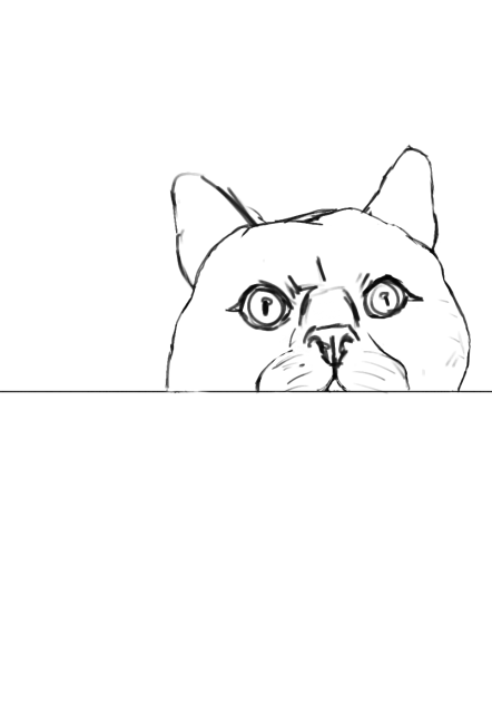 私の猫 coloring page